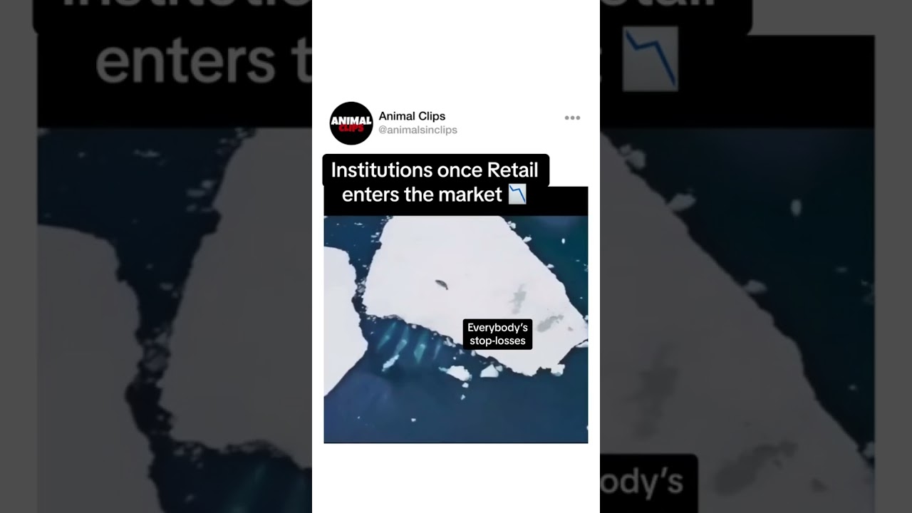 WHEN RETAIL TRADERS ENTER THE MARKET 😂📉